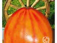 Семена Томат Золотое колесо 20шт