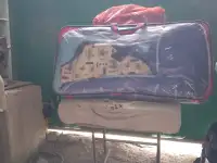 Продам Коляску Новая срочно., фотография 3