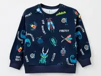 Свитшот acoola