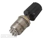 Nurik, фотография 5