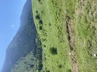 Участок 58 соток у озера колсай, Колсай, фотография 3