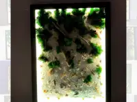 Картина из стабилизированного мха, фотография 2