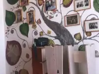 Продам квартиру, Астана, фотография 3