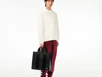 Мужская толстовка lacoste с флисом