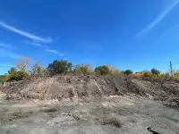 Отдам грунт БЕСПЛАТНО!, фотография 3