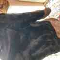 Продам шубу, фотография 3
