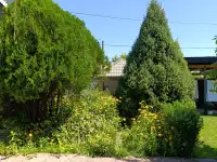 Сдается дача со всеми удобствами всё необходимое естьдла хорошего отдыха, фотография 5