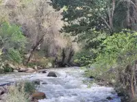 Продаем участок в Каскеленском ущелье, фотография 7