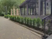 Ландшафтные работы. Озеленение., фотография 3