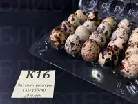 Упаковка для перепелиных яиц, фотография 3