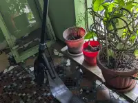 Продам самокат, складной,механический., фотография 2
