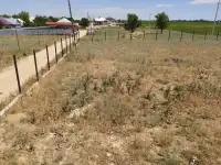 Срочно продам участок недорого, Дачный массив дружба, фотография 2