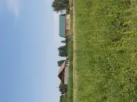 Участок 76 соток. Кызыл Кайрат, фотография 9