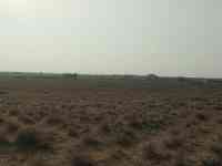 Срочно продам земельный участок, Посёлок Каншенгель, фотография 2