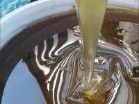 Продаем натуральный мёд, фотография 2