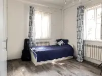 Продам большой дом с двумя входами отдельно и 24 сотки земли, фотография 2