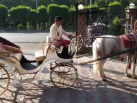 карета Диана аренда, прокат, фотография 2