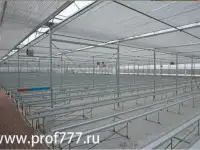 Станок изготовления лотков для клубники и земляники, фотография 3