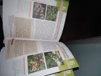 Продам, фотография 2