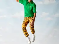 Мужское поло lacoste polaroid