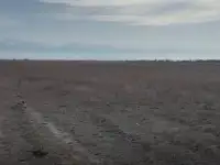 продажа земли КХ под фермерское хозяйство, Алматинская обл, пос Еламан, фотография 2