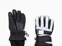 Перчатки playtoday