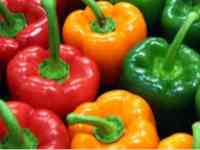 Рассада перца, фотография 2