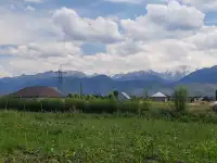 Участок 76 соток. Кызыл Кайрат, фотография 6