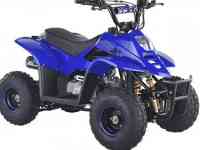Квадроциклы 50,110,125,250сс, фотография 2