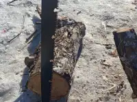 Пила для дерева, фотография 2