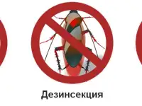 Дезинсекция, дезинфекция, детаризация, фотография 2