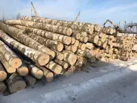 Березовый фанкряж (пиловочник), 1; 2 сорта., фотография 2