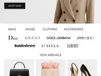 Готовый бизнес интернет-магазин люкс одежды в ЕС, США дропшиппинг, фотография 5