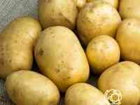 Семена Картофель Аусония 0,02г