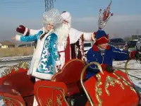 Сани кареты, фотография 2