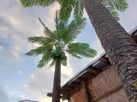 родажа - изготовление  МАФ, фонтаны, вазоны, клумбы, скамейки, скульптуры садовые, скульптуры животных, фигурки,, фотография 2