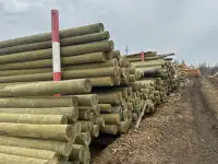 Пропитанные антисептиком опоры столбы ЛЭП, фотография 2