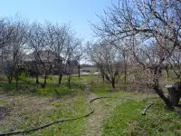 Продается дача 23 сотки, в поселке Акши, Енбекшиказахский район 66 км, фотография 8