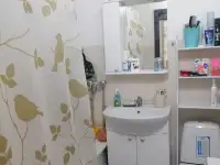 Уютная однушка, Зердели1/32, фотография 3