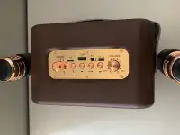 Колонка музыкальная беспроводная с караоке, фотография 3