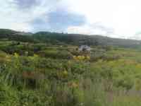 в продаже земельный участок, Наурызбайский район  Карагайлы, фотография 3