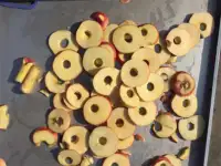 Машина для удаления сердцевины яблок, нарезка дольками и слайсами Vega Apl cor 400800 A, фотография 2