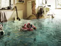 Судебная экспертиза в Алматы, фотография 5