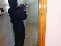 Уничтожение тараканов, клопов, крыс, мышей и прочих вредителей в Усть-Каменогорске. Гарантия, лицензия, фотография 4