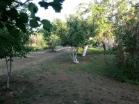 ПРОДАМ ДОМ в с.Калкаман (Павлодарская обл., Аксуский р-н) Земельный участок 20 сот., фотография 4