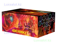 Салют Феникс, фотография 2