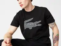 Мужская футболка lacoste regular fit