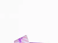 Сланцы t.taccardi