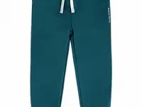 Брюки спортивные bossa nova