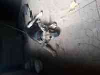 ОТдам щенка в хорошие руки, фотография 3